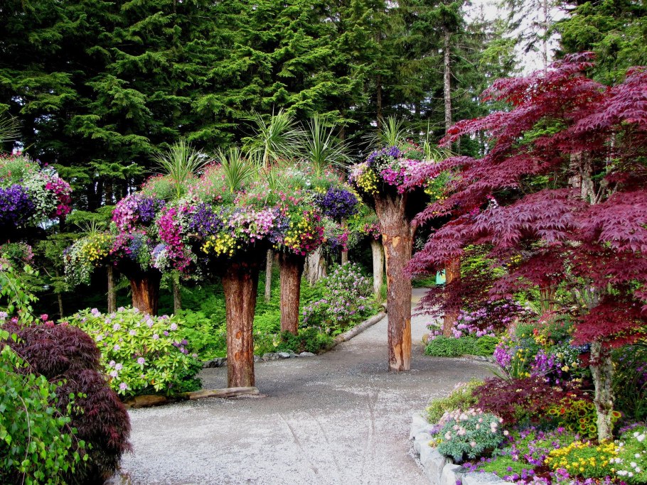 Астильба Арендса Диамант