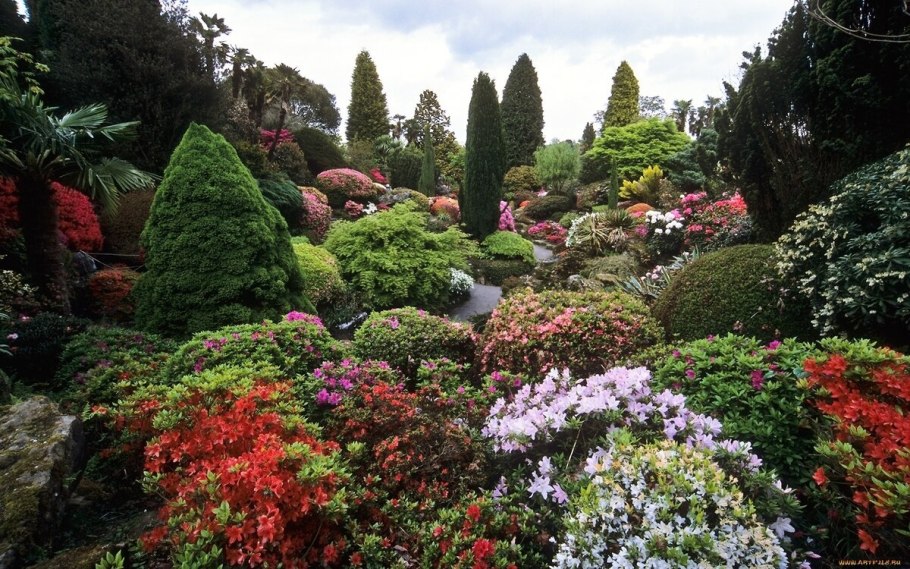 Сад рододендронов Монреаль