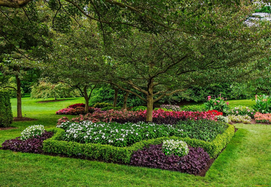 Сады Европы