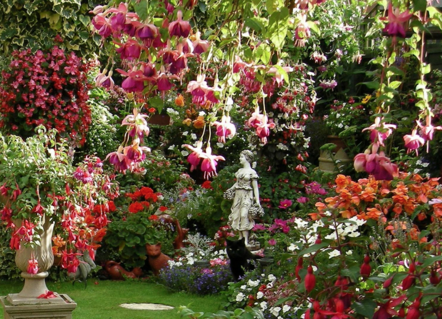 Растения ботанического сада