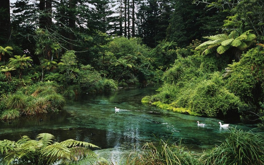 Болота Пантанал Бразилия