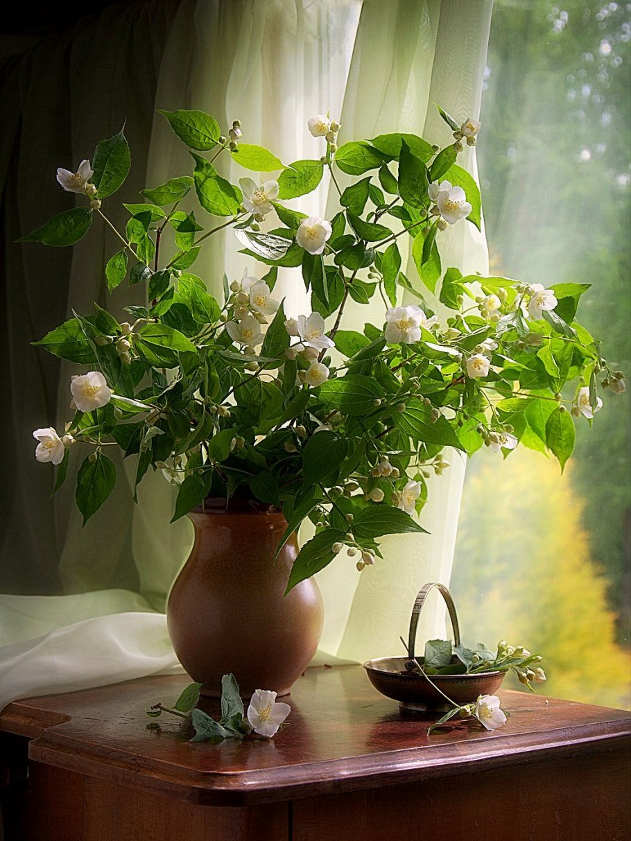 Подоконник с цветами