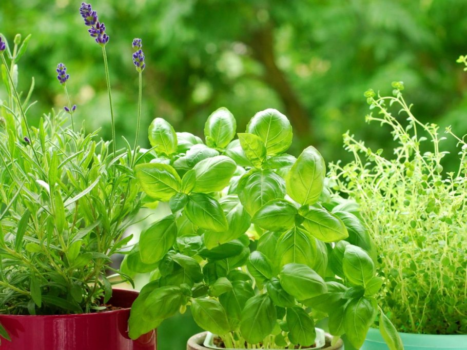 Губарев Валентин художник ангел