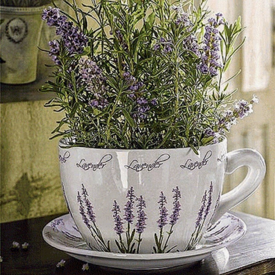 Шалфей розмарин Лаванда