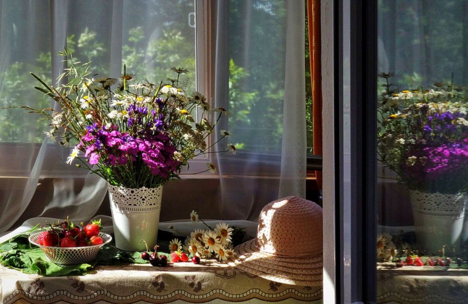 Травы на подоконнике