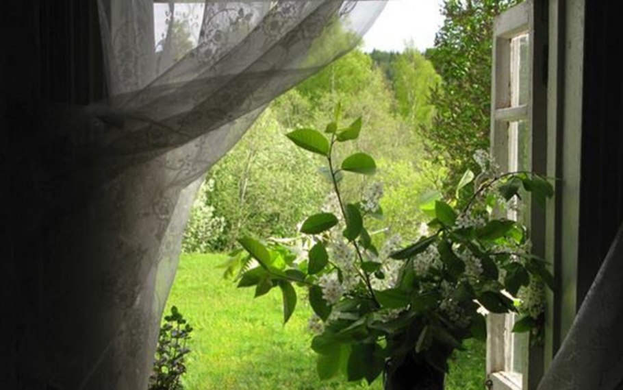 Комнатное цветоводство