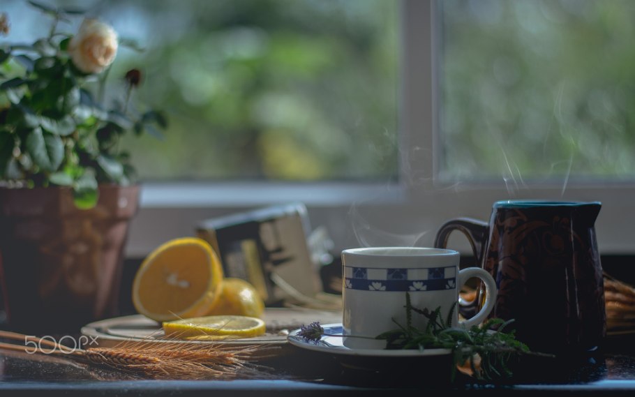 Турецкая роза цветок домашний