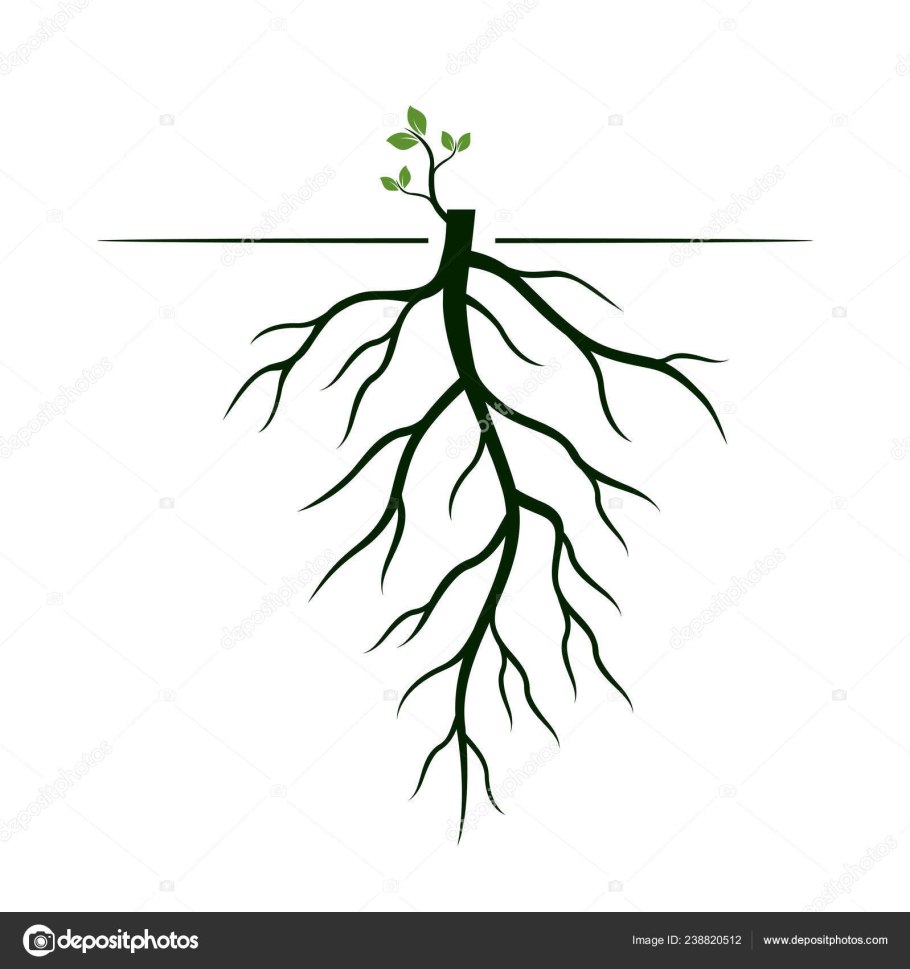 Корни эскиз