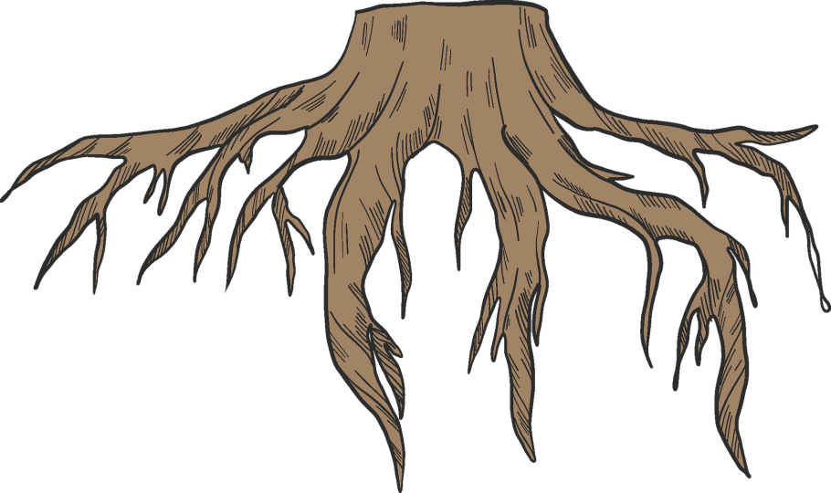 Корни растений на прозрачном фоне