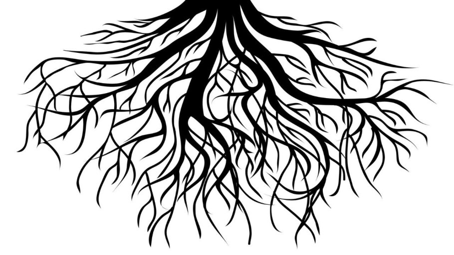 Корни растений