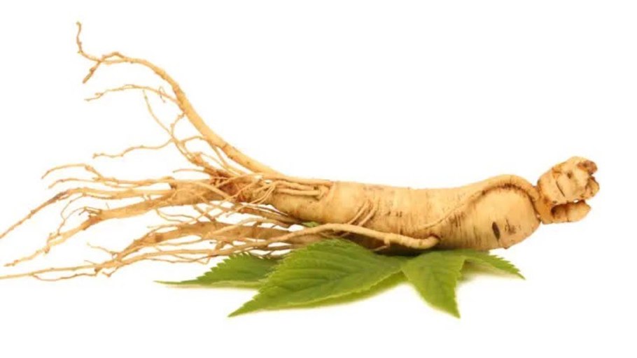 Корни дерева