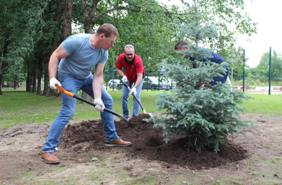 Ухаживание за растениями