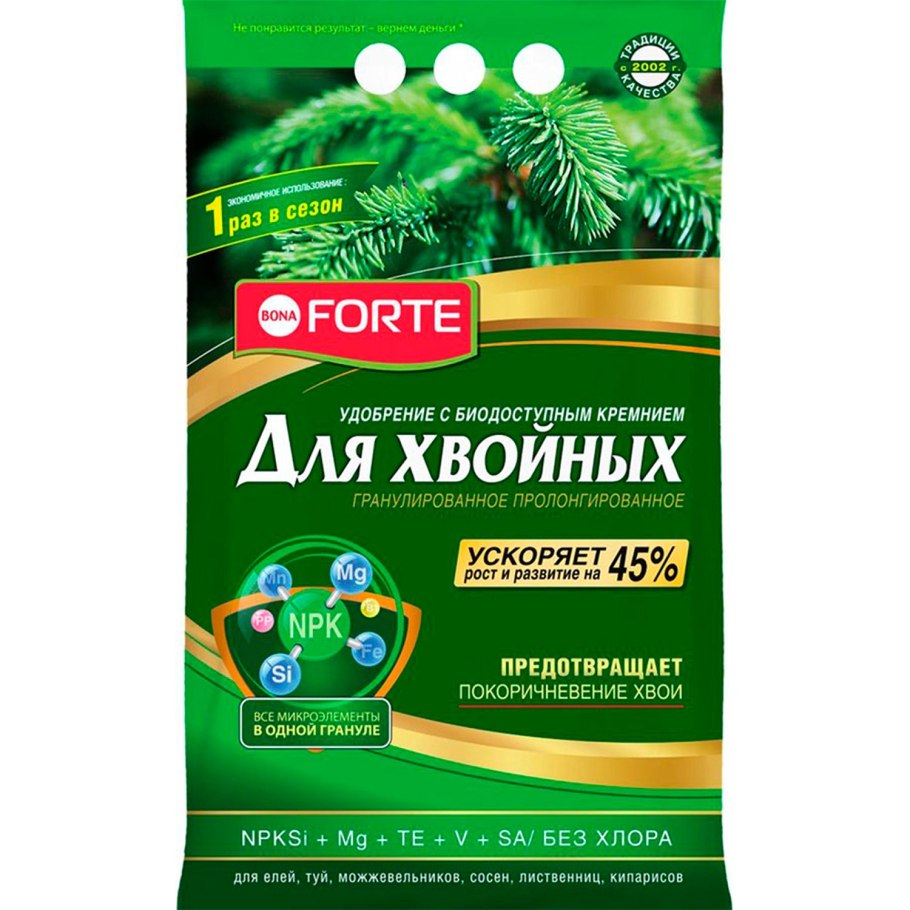 Сеянцы туи пихты