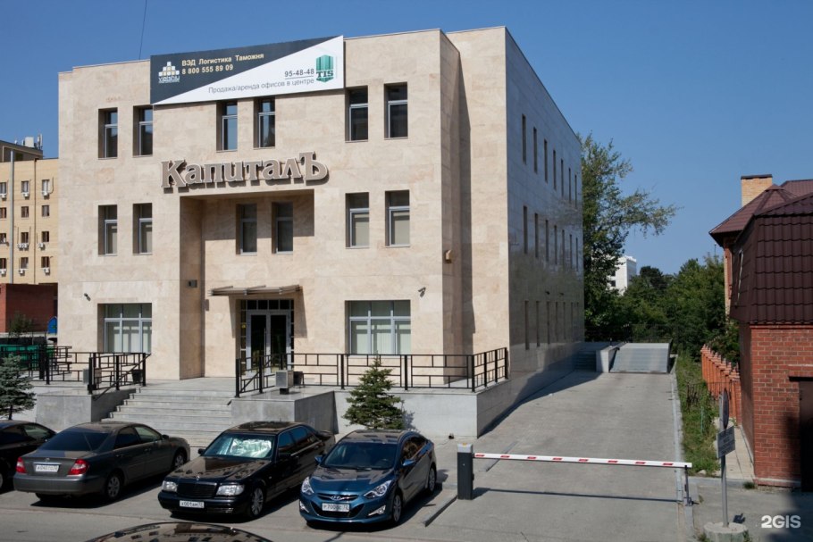 Тис ягодный Hicksii