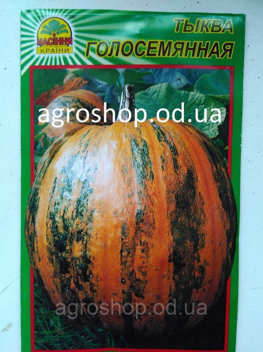 Штирийская голосемянная тыква