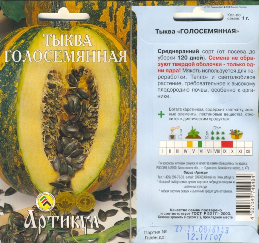 Тыква голосемянная Юнона