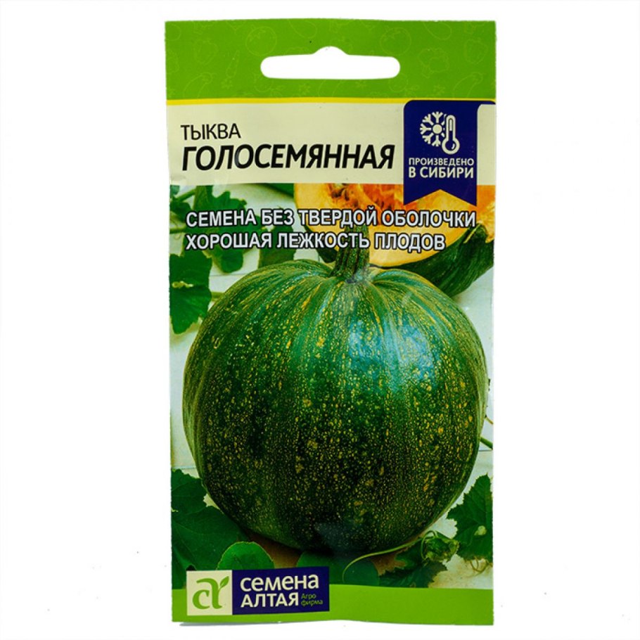 Тыква голосемянная описание