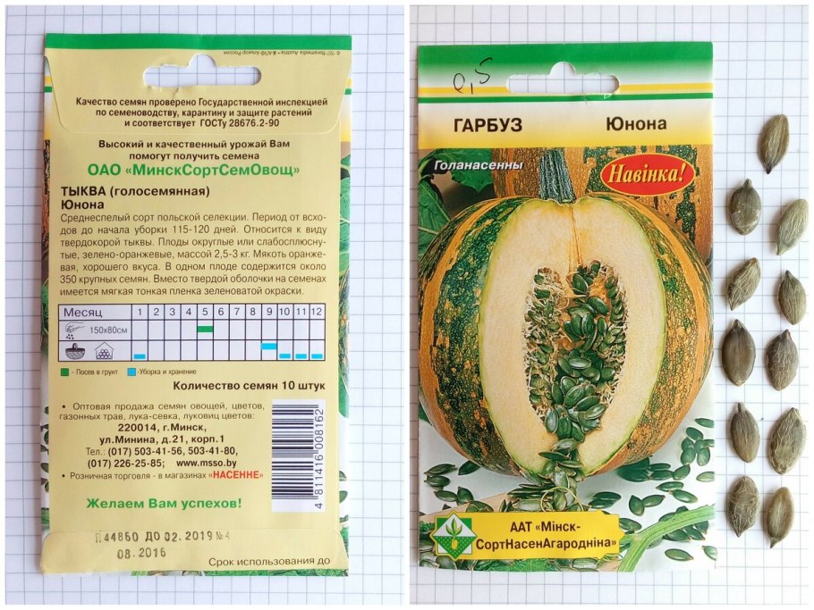 Тыква твердокорая Даная