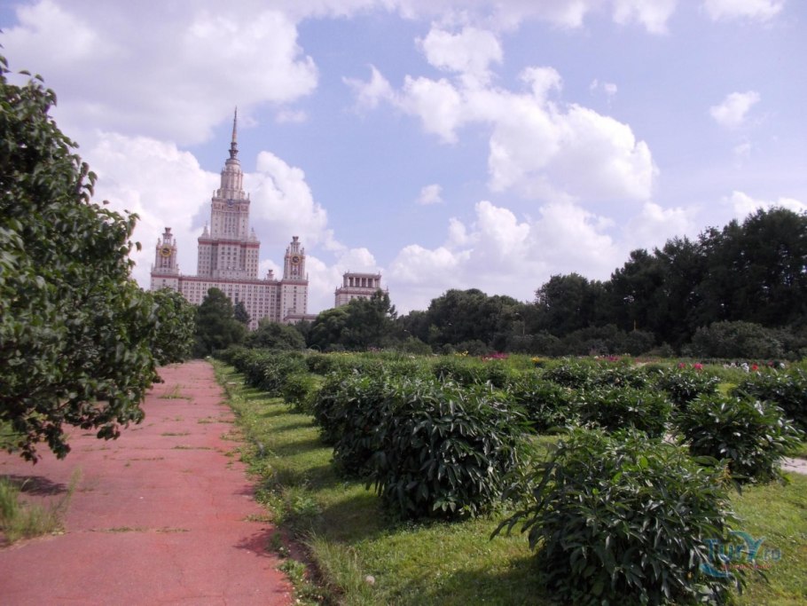 Ботанический сад МГУ Москва
