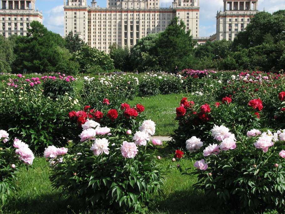 Ботанический парк МГУ