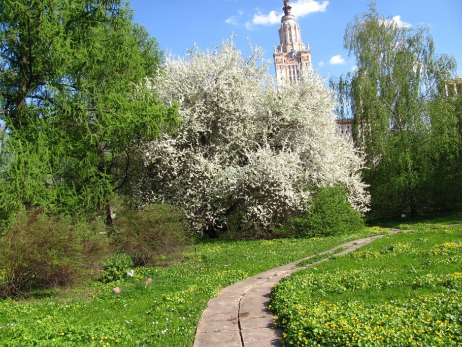 Ботанический сад МГУ Ленинские горы