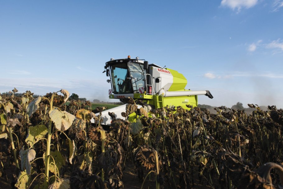 Комбайн силос подсолнух