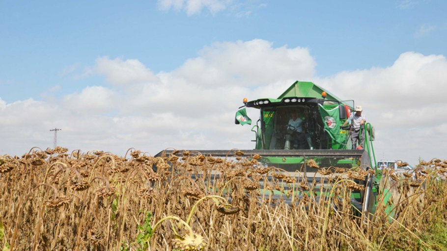Бункер в поле