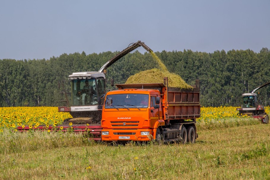 Урожайность подсолнуха