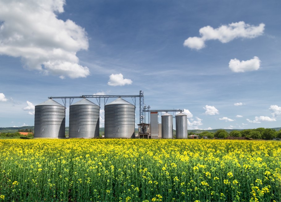 Grain storage