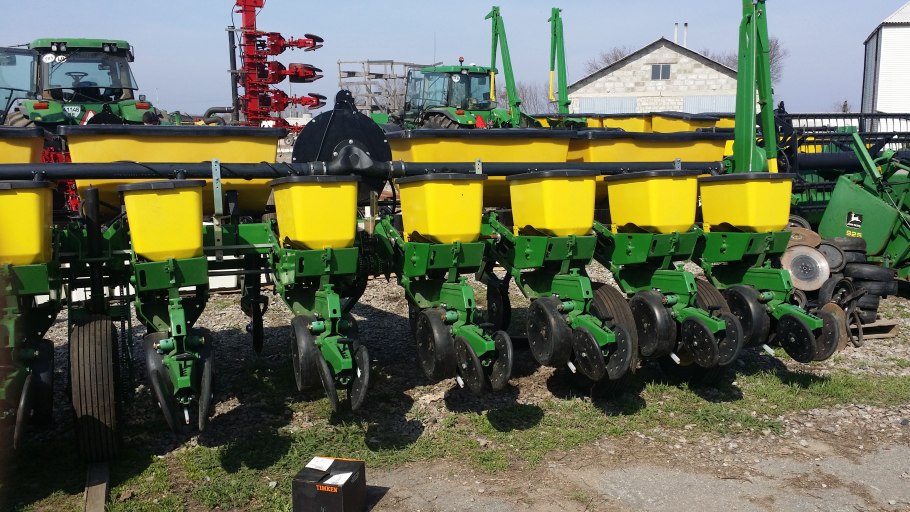 Фомоз подсолнечника на корзинке