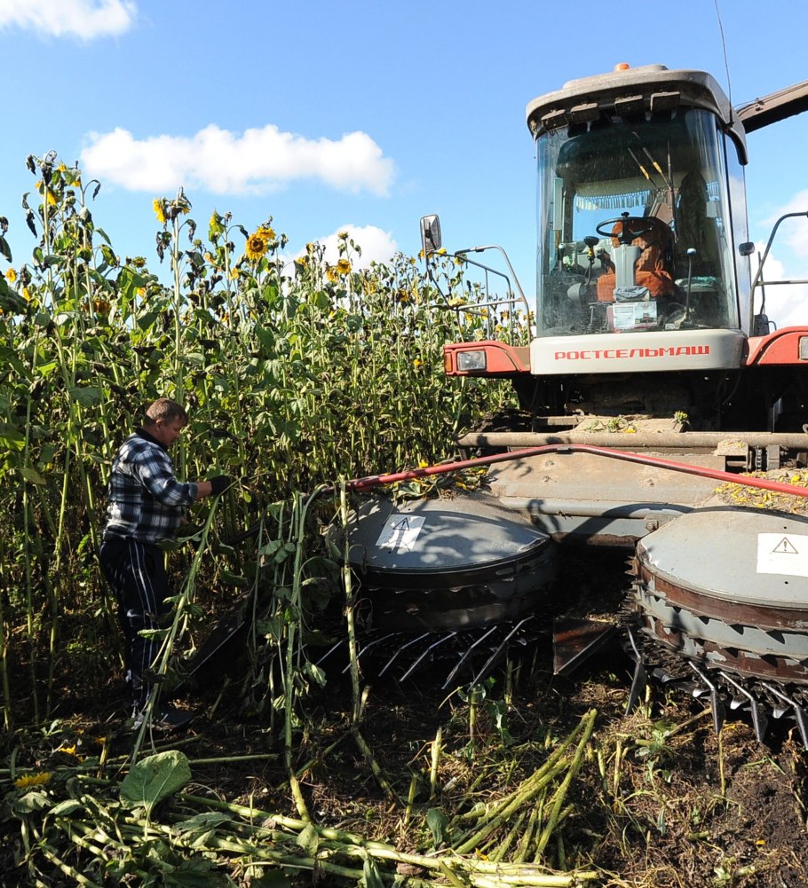 Комбайн силос подсолнух