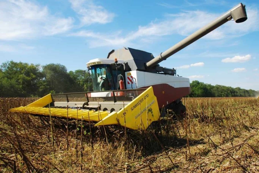 Период сбора подсолнечника