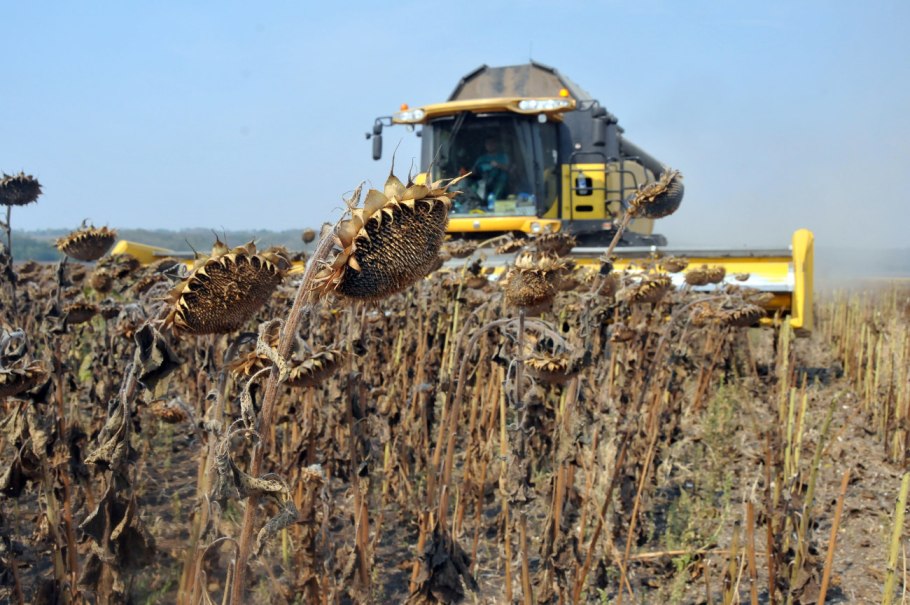 Завод в поле