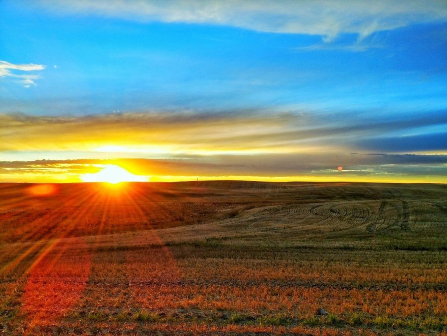 Пейзаж с камышами