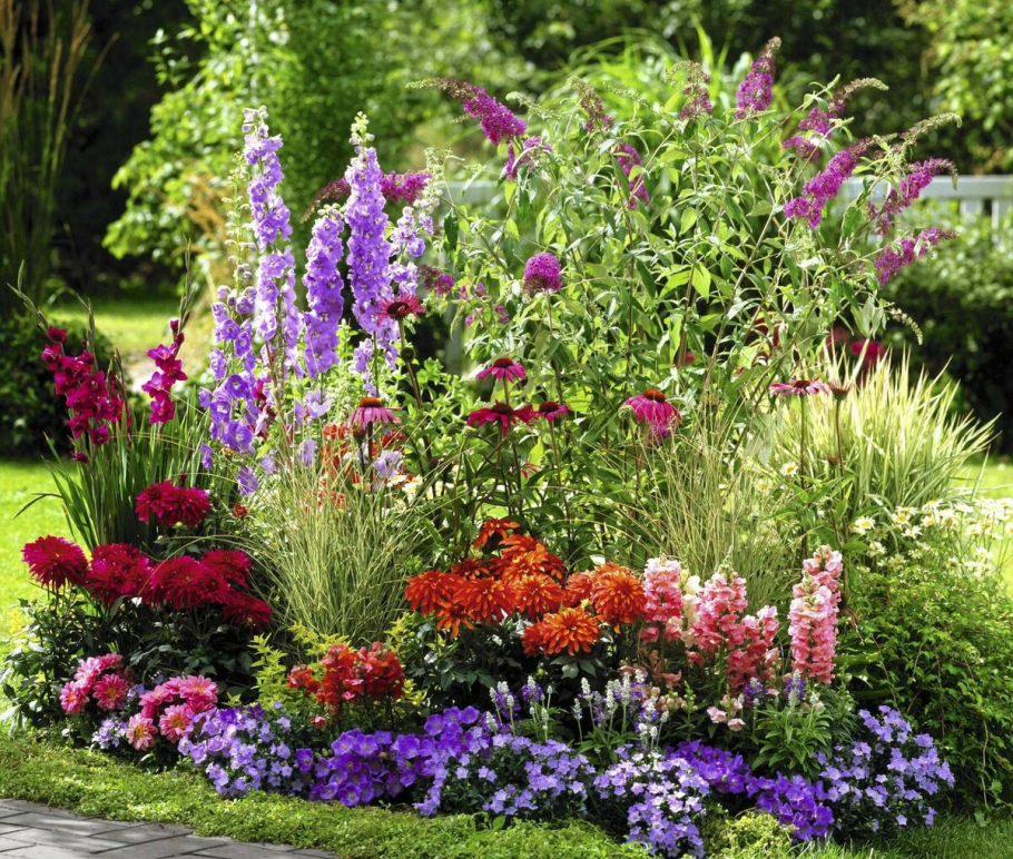 Моноцветник астильбы круглый