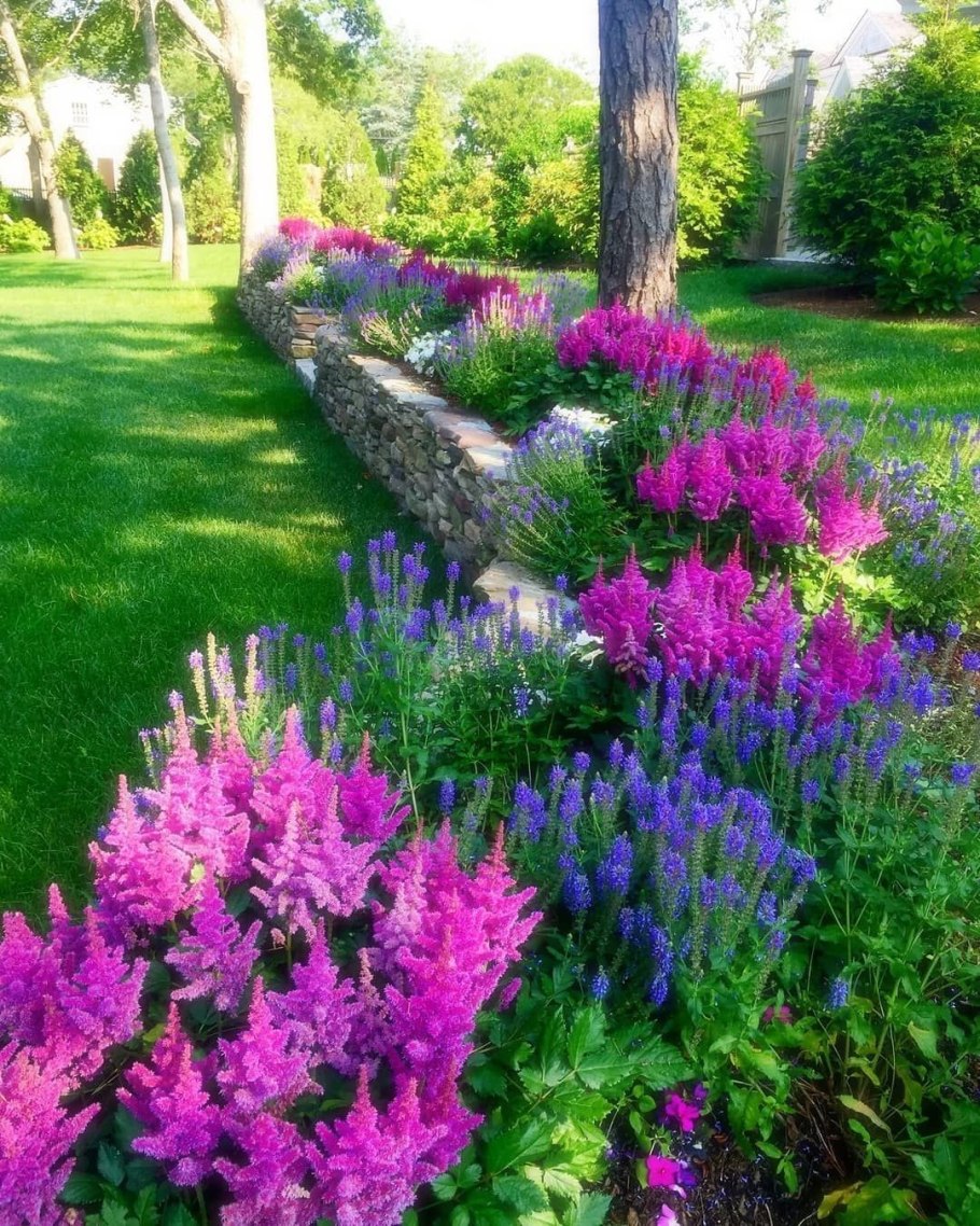 Клумба гортензия Хоста астильба