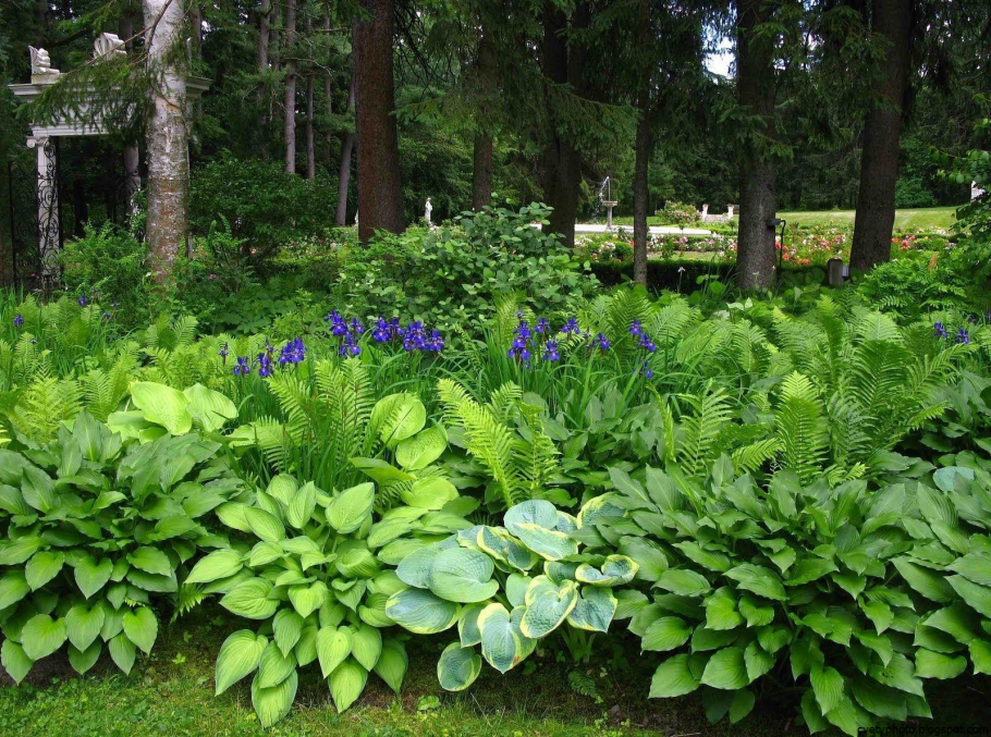 Красочный цветник