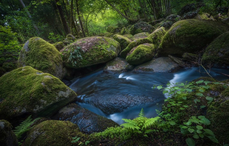 Камни в мху и воде