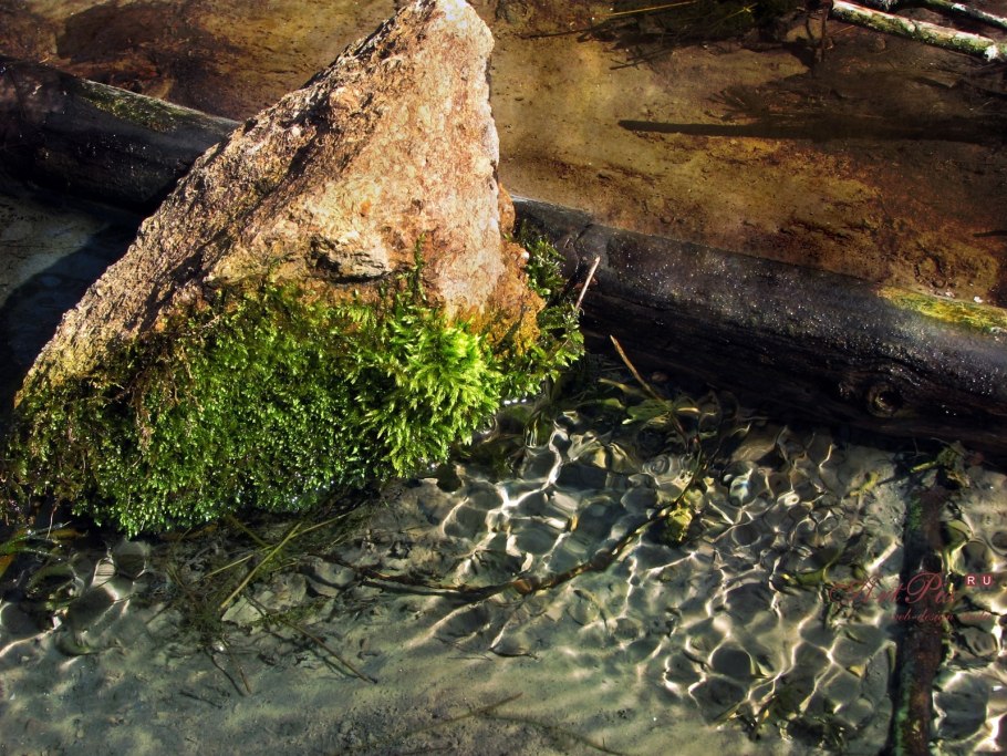 Выступающие камни из воды