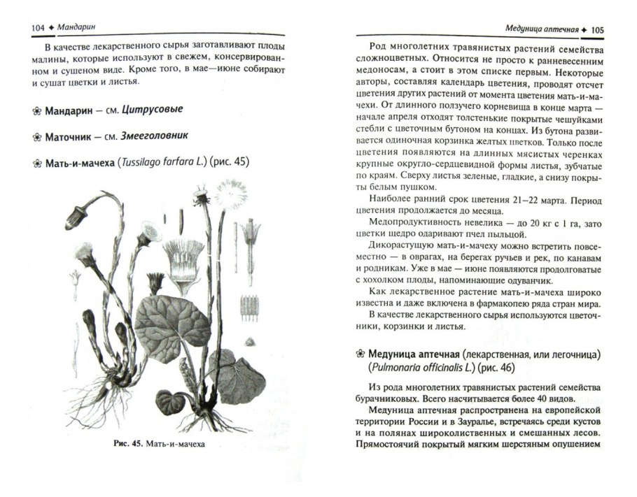 Растения медоносы книга