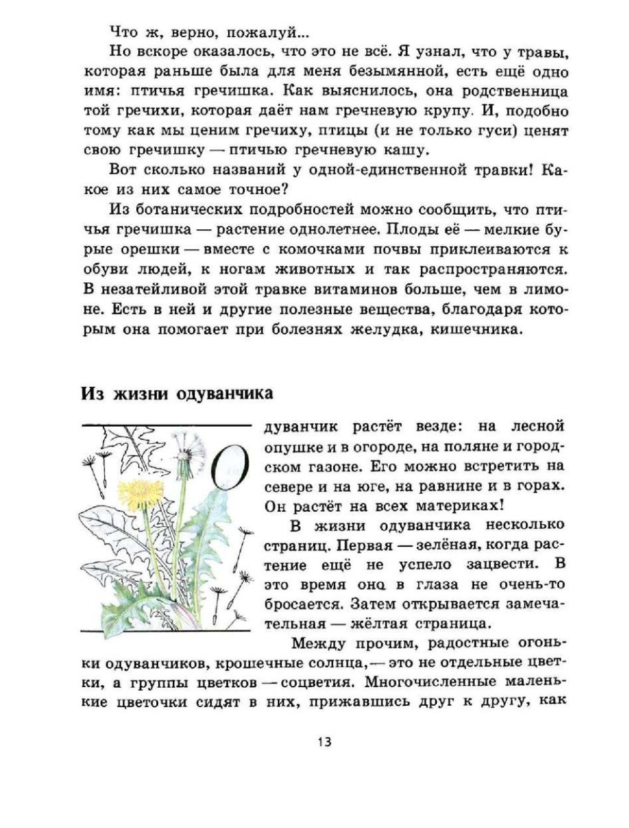 Плешаков зеленые страницы Птичья гречишка