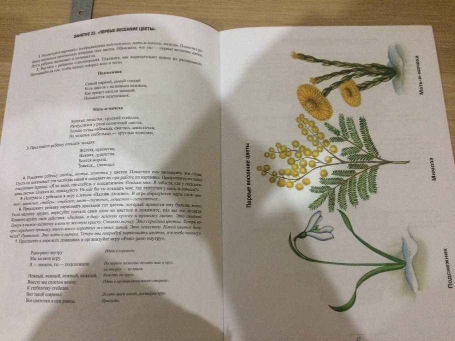 Четыре времени года книга для воспитателя детского сада Бианки