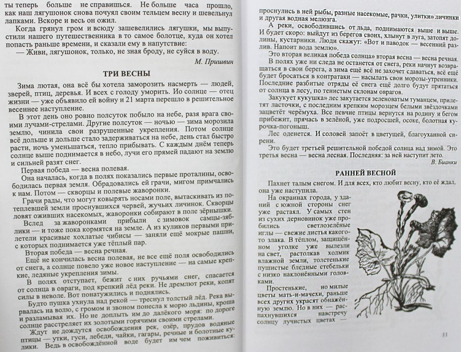 Мать-и-мачеха растение описание 3 класс