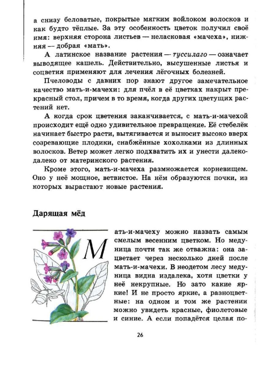 Книга зеленые страницы Медуница