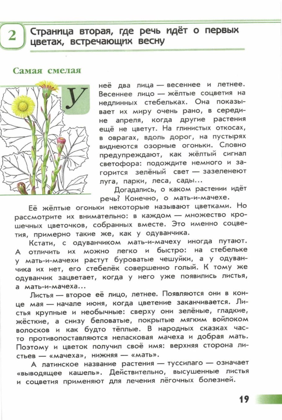 Зелёные страницы 2 класс окружающий мир мать-и-мачеха