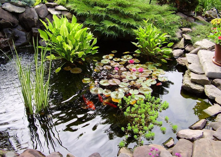 Альпийская горка с биоплато