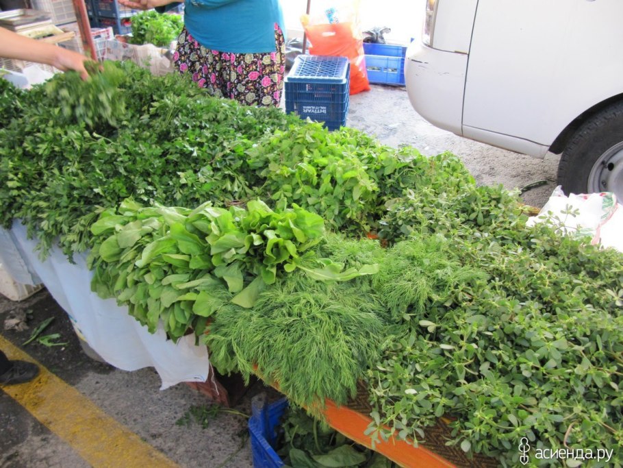 Green House гидропоника