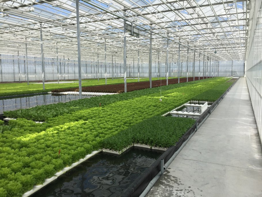 Теплица с отоплением и освещением