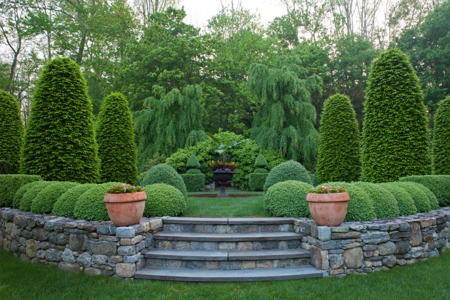 Деревья для сада