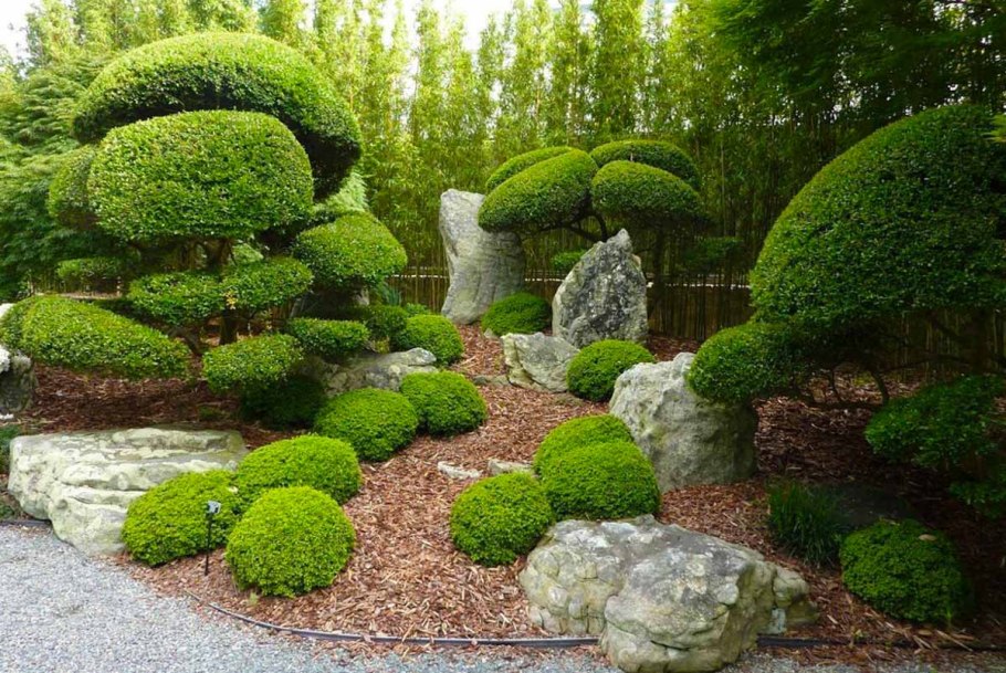 Липа Топиар